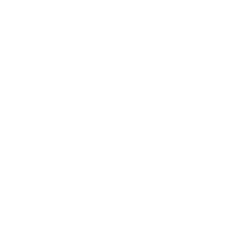 Lais Cleaning Co Logo